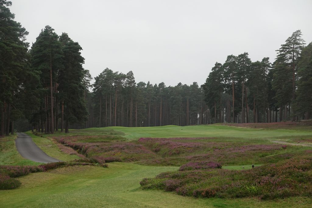3rd Hole at Swinley Forest Golf Club (324 Yard Par 4)